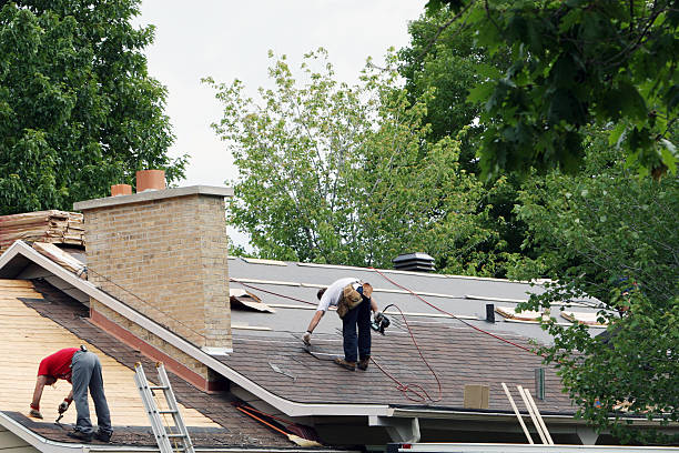 Best Roof Gutter Cleaning  in Nice, CA